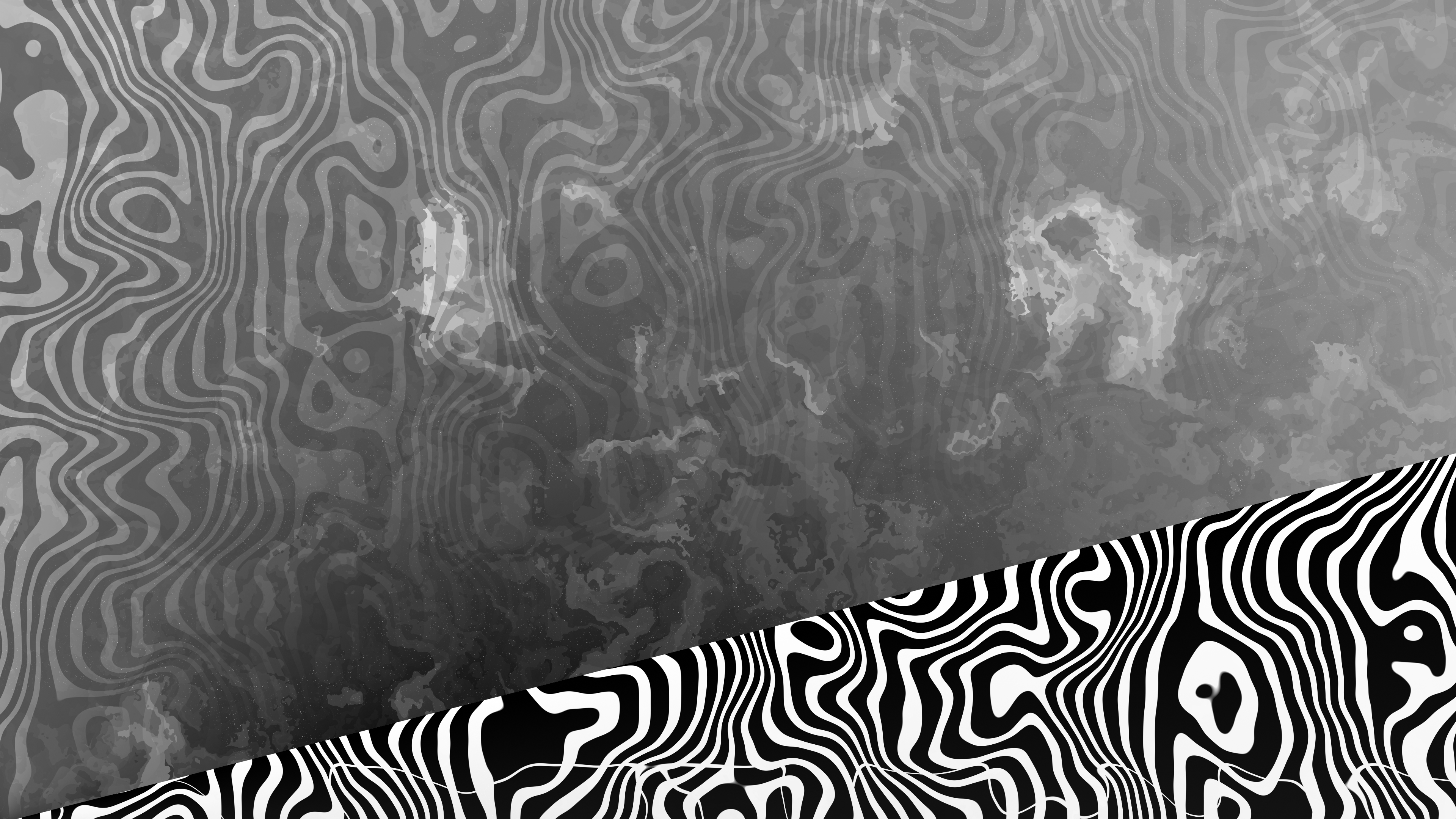 wynx's upcoming shows zebra card background visual art